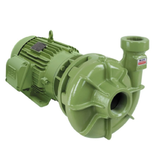Bomba Centrífuga Monoestágio BC-21 R 1 1/4 1,5 Cv Trifásica (220/380/440/760 V) Schneider