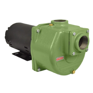 Bomba Autoaspirante BCA-40 2 3/4 CV Monofásico Com Capacitor Schneider